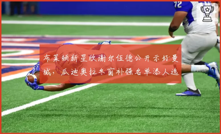 布莱顿新星欣谢尔伍德公开示好曼城，瓜迪奥拉冬窗补强名单添人选